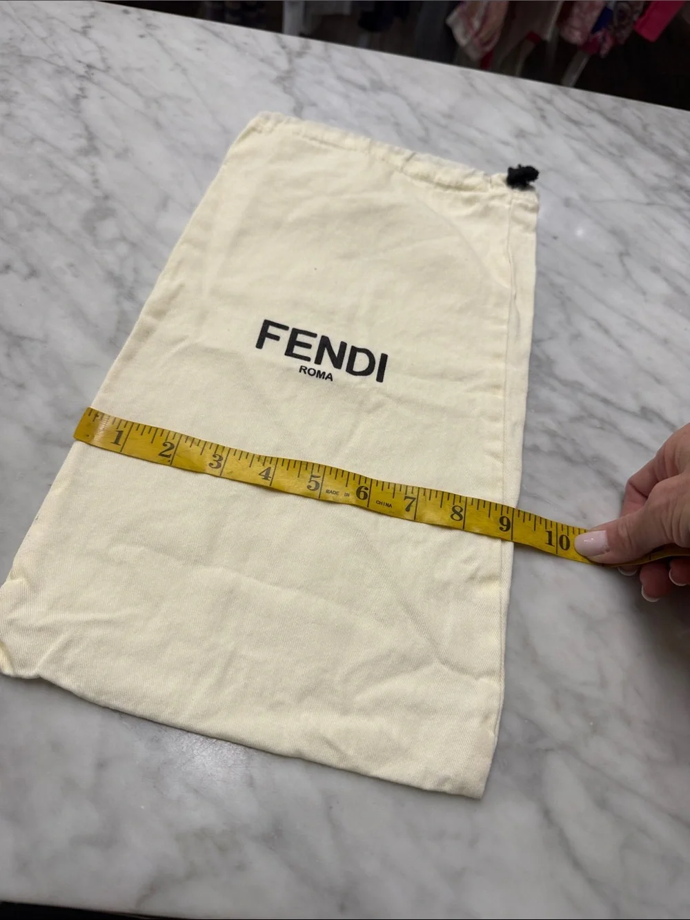 FENDI Designer Storage Bag Shoe Storage Sleeper Bag